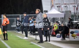 30.11.24 VfB Stuttgart II - SV Waldhof Mannheim