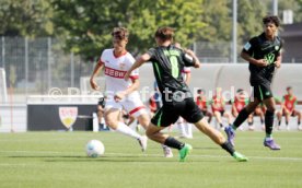 31.08.24 U19 VfB Stuttgart - U19 VfL Wolfsburg