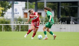 08.09.24 Frauen VfL Herrenberg - VfB Stuttgart