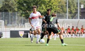 31.08.24 U19 VfB Stuttgart - U19 VfL Wolfsburg