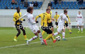 11.12.24 U19 VfB Stuttgart - U19 Young Boys Bern