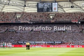 31.08.24 VfB Stuttgart - 1. FSV Mainz 05