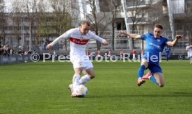 16.03.24 VfB Stuttgart II - SGV Freiberg