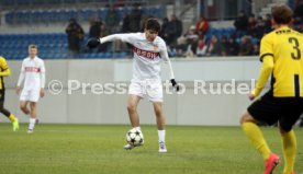 11.12.24 U19 VfB Stuttgart - U19 Young Boys Bern