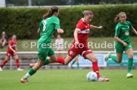 08.09.24 Frauen VfL Herrenberg - VfB Stuttgart