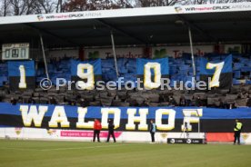 30.11.24 VfB Stuttgart II - SV Waldhof Mannheim