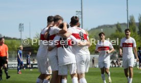 06.04.24 U17 VfB Stuttgart - U17 TSG 1899 Hoffenheim