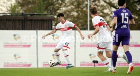 27.10.24 VfB Stuttgart II - FC Erzgebirge Aue