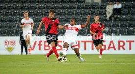 25.08.24 VfB Stuttgart II - SV Wehen Wiesbaden