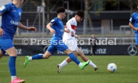 16.03.24 VfB Stuttgart II - SGV Freiberg