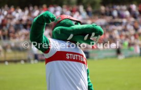 07.07.24 FSV Hollenbach - VfB Stuttgart