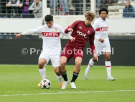 01.10.24 U19 VfB Stuttgart - U19 AC Sparta Prag