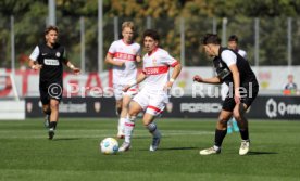 21.09.24 U19 VfB Stuttgart - U19 SV Elversberg