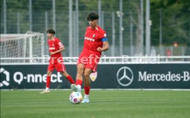 25.08.24 U17 VfB Stuttgart - U17 SC Freiburg