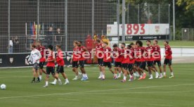 20.08.24 VfB Stuttgart Training