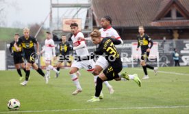 14.12.24 VfB Stuttgart II - Borussia Dortmund II