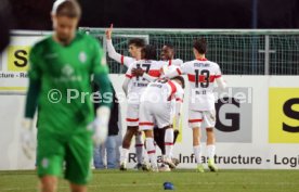 30.11.24 VfB Stuttgart II - SV Waldhof Mannheim