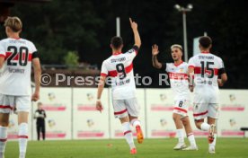 25.08.24 VfB Stuttgart II - SV Wehen Wiesbaden