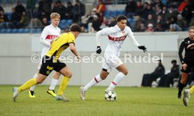 11.12.24 U19 VfB Stuttgart - U19 Young Boys Bern