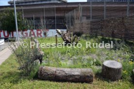 18.07.24 VfB Stuttgart Vorstellung Biodiversitäts-Lehrpfad