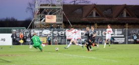 30.11.24 VfB Stuttgart II - SV Waldhof Mannheim