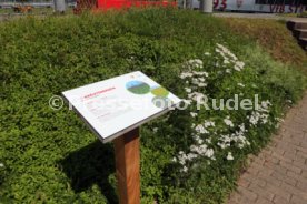 18.07.24 VfB Stuttgart Vorstellung Biodiversitäts-Lehrpfad