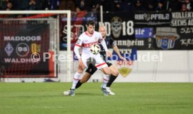 30.11.24 VfB Stuttgart II - SV Waldhof Mannheim