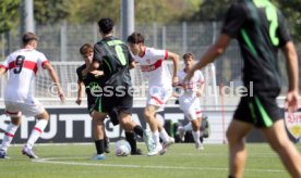 31.08.24 U19 VfB Stuttgart - U19 VfL Wolfsburg