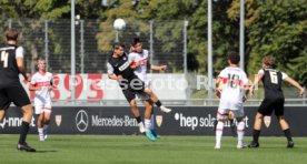 21.09.24 U19 VfB Stuttgart - U19 SV Elversberg