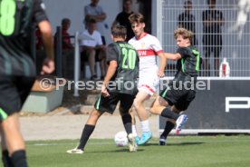 31.08.24 U19 VfB Stuttgart - U19 VfL Wolfsburg