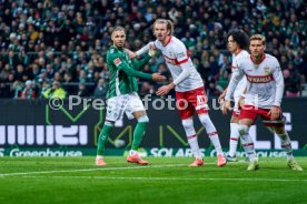 30.11.24 SV Werder Bremen - VfB Stuttgart