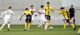 11.12.24 U19 VfB Stuttgart - U19 Young Boys Bern