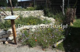 18.07.24 VfB Stuttgart Vorstellung Biodiversitäts-Lehrpfad