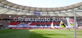 31.08.24 VfB Stuttgart - 1. FSV Mainz 05