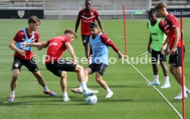 25.08.24 VfB Stuttgart Training