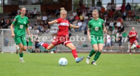 08.09.24 Frauen VfL Herrenberg - VfB Stuttgart