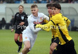 11.12.24 U19 VfB Stuttgart - U19 Young Boys Bern