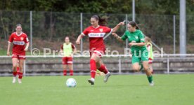 08.09.24 Frauen VfL Herrenberg - VfB Stuttgart