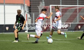 31.08.24 U19 VfB Stuttgart - U19 VfL Wolfsburg