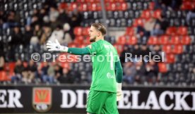 30.11.24 VfB Stuttgart II - SV Waldhof Mannheim