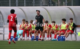 09.08.24 U19 VfB Stuttgart - U19 SC Freiburg