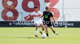 31.08.24 U19 VfB Stuttgart - U19 VfL Wolfsburg