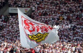 31.08.24 VfB Stuttgart - 1. FSV Mainz 05