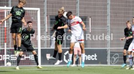 31.08.24 U19 VfB Stuttgart - U19 VfL Wolfsburg