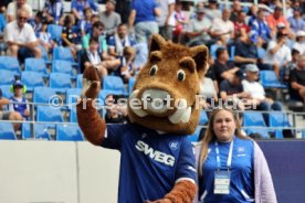 03.08.24 Karlsruher SC - 1. FC Nürnberg