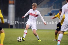 11.12.24 U19 VfB Stuttgart - U19 Young Boys Bern