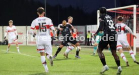 30.11.24 VfB Stuttgart II - SV Waldhof Mannheim