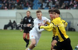 11.12.24 U19 VfB Stuttgart - U19 Young Boys Bern