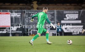 30.11.24 VfB Stuttgart II - SV Waldhof Mannheim