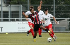 06.07.24 TSV Harthausen - FV Neuhausen